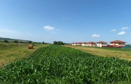 Teren intravilan în Jucu 2900 mp 