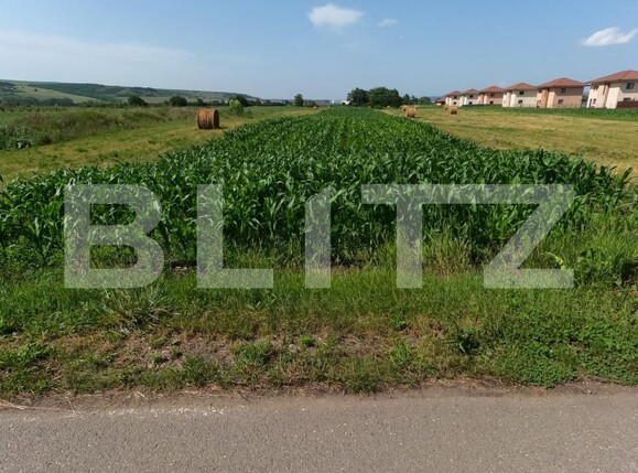 Teren de vânzare Exterior Est - 152828TV | BLITZ Cluj-Napoca | Poza1