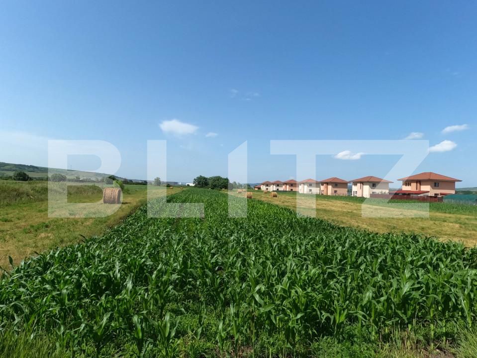 Teren de vânzare Exterior Est - 152828TV | BLITZ Cluj-Napoca | Poza2