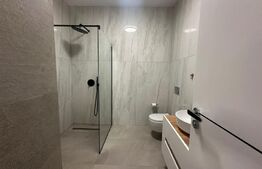 Apartament cu curte proprie în cartierul Buna Ziua