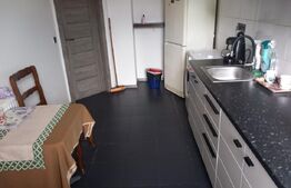 Apartament 1 camera cu nisa de dormit