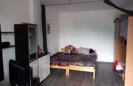 Apartament 1 camera cu nisa de dormit