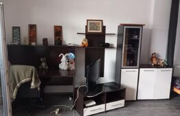 Apartament 1 camera cu nisa de dormit