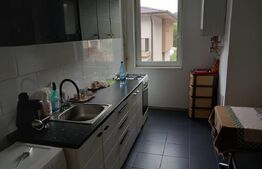 Apartament 1 camera cu nisa de dormit