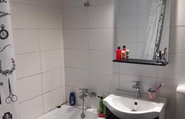 Apartament 1 camera cu nisa de dormit