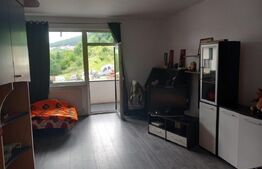 Apartament 1 camera cu nisa de dormit