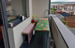 Apartament 1 camera cu nisa de dormit