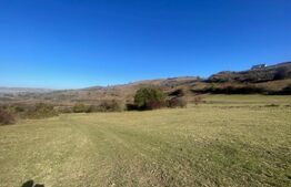 Exclusivitate ! Teren extravilan pretabil pentru constuctia unei cabane / case !