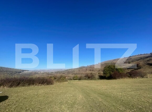 Teren de vânzare Tăuţi - 152992TV | BLITZ Cluj-Napoca | Poza3