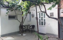 Casa recent renovata la curte comuna, Str. Fabricii