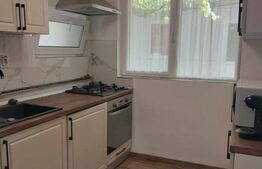 Casa recent renovata la curte comuna, Str. Fabricii