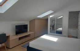 Casa recent renovata la curte comuna, Str. Fabricii