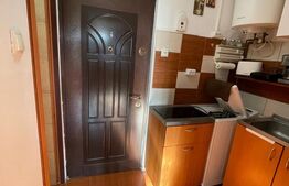 Cameră de Cămin cu Baie și Bucătărie Proprie