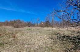 Teren intravilan 560mp,cu Puz aprobat si certificat de urbanism de constructie duplex,situat in Borhanci