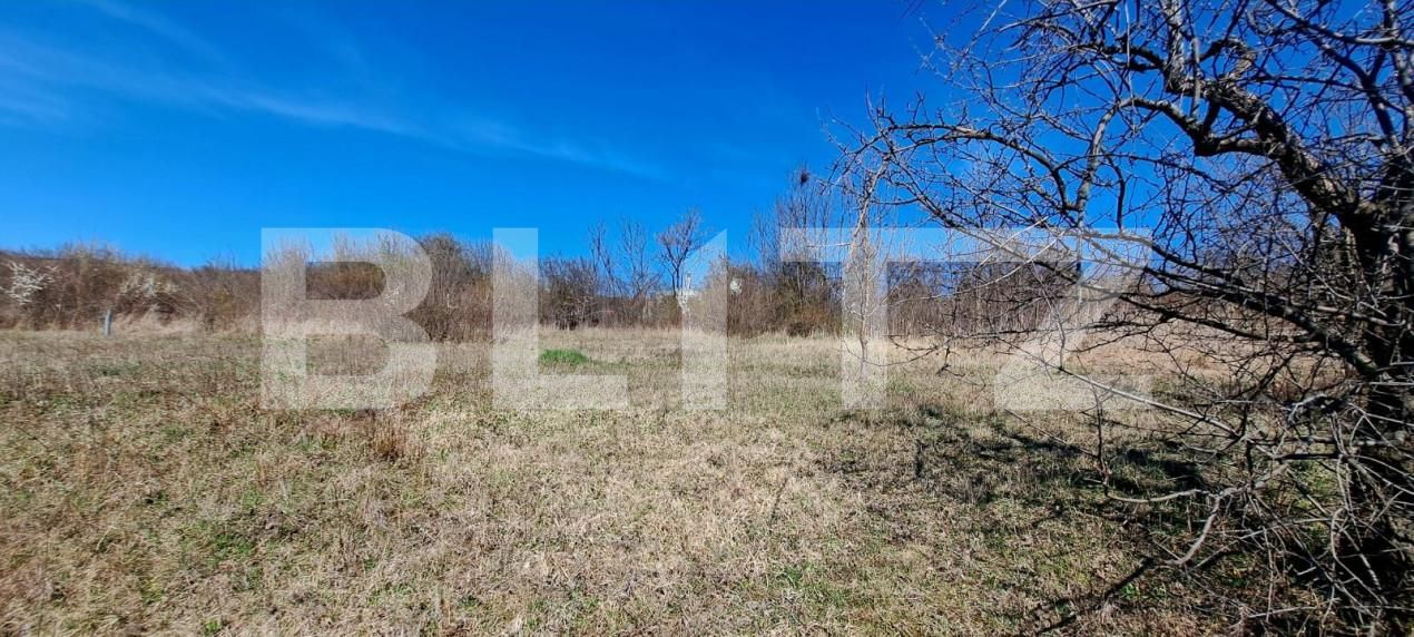 Teren de vânzare Borhanci - 153078TV | BLITZ Cluj-Napoca | Poza3