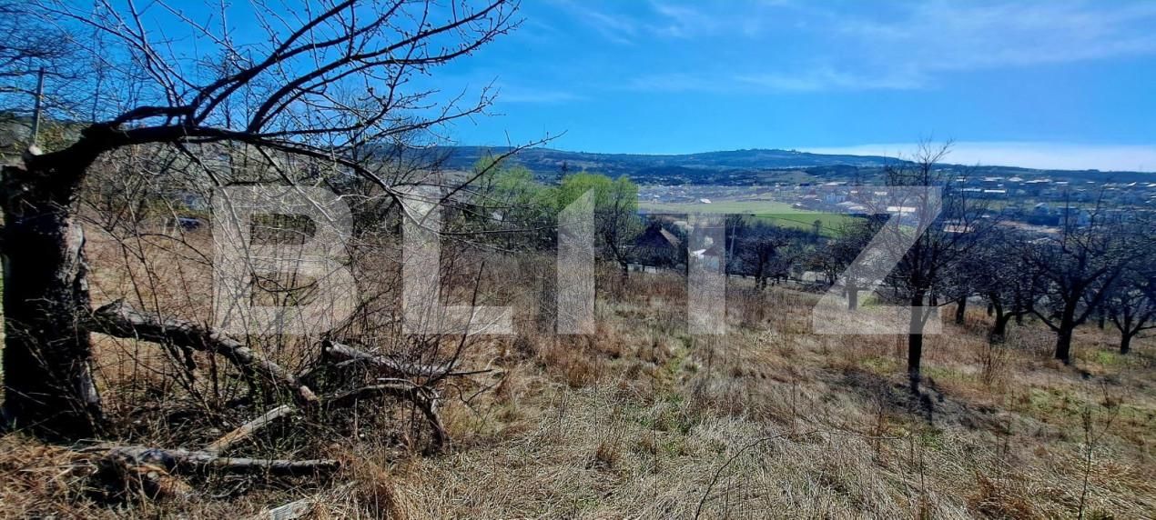 Teren de vânzare Borhanci - 153078TV | BLITZ Cluj-Napoca | Poza4