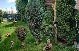 Apartament spatios in vila situat in Codlea