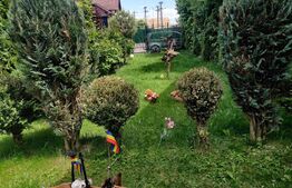 Apartament spatios in vila situat in Codlea