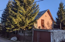 Oportunitate de investitie! Casa/cabana in Statiunea Muntele Baisorii