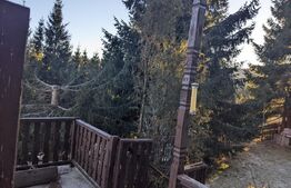 Oportunitate de investitie! Casa/cabana in Statiunea Muntele Baisorii