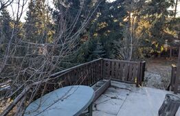 Oportunitate de investitie! Casa/cabana in Statiunea Muntele Baisorii