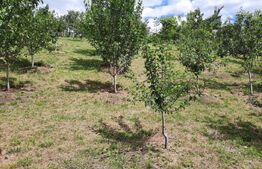 Casa si teren 3450mp, panorama superba asupra orasului