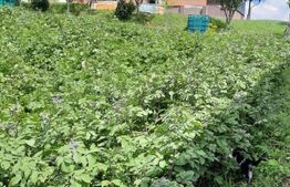 Casa si teren 3450mp, panorama superba asupra orasului