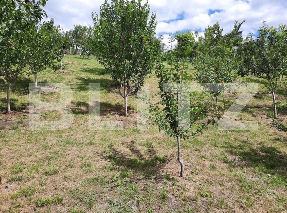 Casa de vânzare 3 camere Dambul Rotund - 153085CV | BLITZ Cluj-Napoca | Poza7