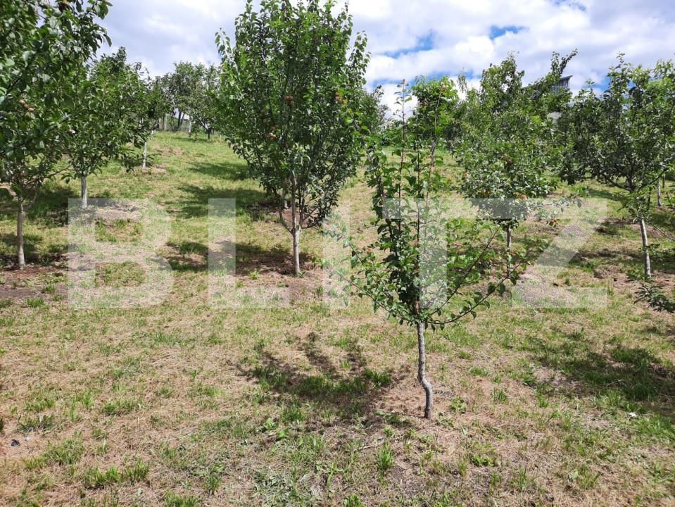 Casa de vânzare 3 camere Dambul Rotund - 153085CV | BLITZ Cluj-Napoca | Poza9