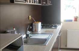 Apartament cu 2 camere, 58 mp, mobilat modern, zona Florilor! Parcare cu CF!