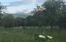 De vanzare teren intravilan 993mp, Ghimbav 