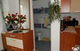 2 camere, 50 mp, parcare, curte 60 mp, zona Pietei Abator!