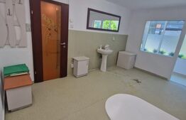 Inchiriere spatiu comercial pretabil salon, birouri, consultanta, stomatologie 