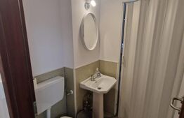 Inchiriere spatiu comercial pretabil salon, birouri, consultanta, stomatologie 