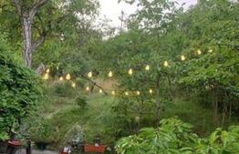 Investitie ! Teren intravilan 728 mp, Grigorescu ,panorama ! 