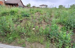 Casa duplex Chinteni