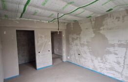 Casa duplex Chinteni