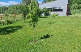 Casa 5 camere Vulcan,teren 1600 mp  