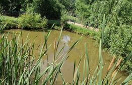 Casa 5 camere Vulcan,teren 1600 mp sau  schimb cu  apt Ghimbav 