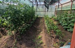 Casa 5 camere Vulcan,teren 1600 mp sau  schimb cu  apt Ghimbav 