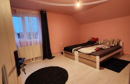 Exclusivitate! Duplex de 5 camere, 170mp cu garaj in zona Tineretului