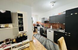 Exclusivitate! Duplex de 5 camere, 170mp cu garaj in zona Tineretului