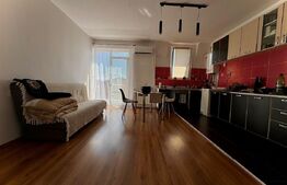 Apartament 2 camere, 53mp, zona Muzeul Apei