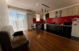 Apartament 2 camere, 53mp, zona Muzeul Apei