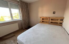 Apartament cu 2 camere, 46mp utili,in Grigorescu, zona Taietura Turcului