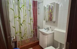 Apartament 2 camere, 50 mp, zona Sesul de sus 