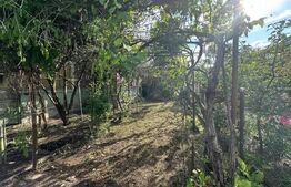 Casa renovabila/ demolabila cu teren de 400mp Iris zona Revo fitness 