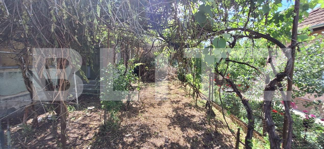 Casa de vânzare 4 camere Iris - 153384CV | BLITZ Cluj-Napoca | Poza5