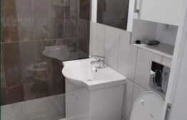 Garsonieră complet renovată, zona Garii