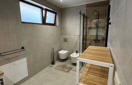 Duplex 120 mp, lux, prima inchiriere, parcare, gradina, zona Cetatea Fetei 